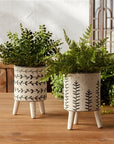 Melrose Garden Sage Set-of-2 White & Black Dolomite Pots
