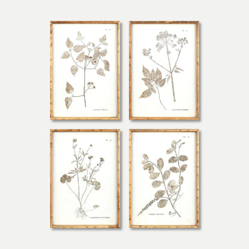 Melrose Home Goods & Essentials Starla set-of-4 Floral Prints